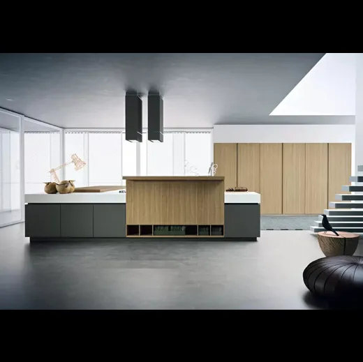 Cucina Moderna Area 22 30° con isola in laccato opaco e essenza Rovere di Dibiesse