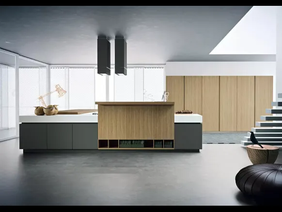 Cucina Moderna Area 22 30° con isola in laccato opaco e essenza Rovere di Dibiesse
